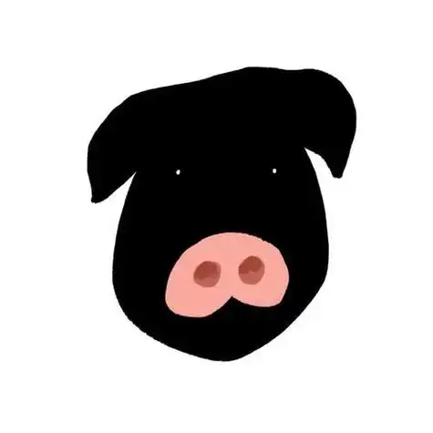 猪头照片头像图片猪头图片