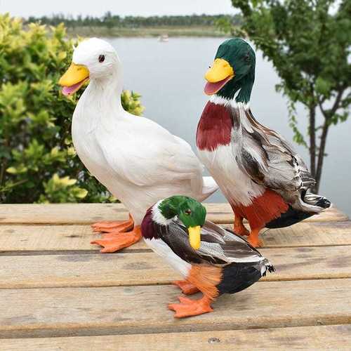 仿真鸭子白鹅小鸭子模型动物家禽模型摆件真羽毛动物标本超市摆件