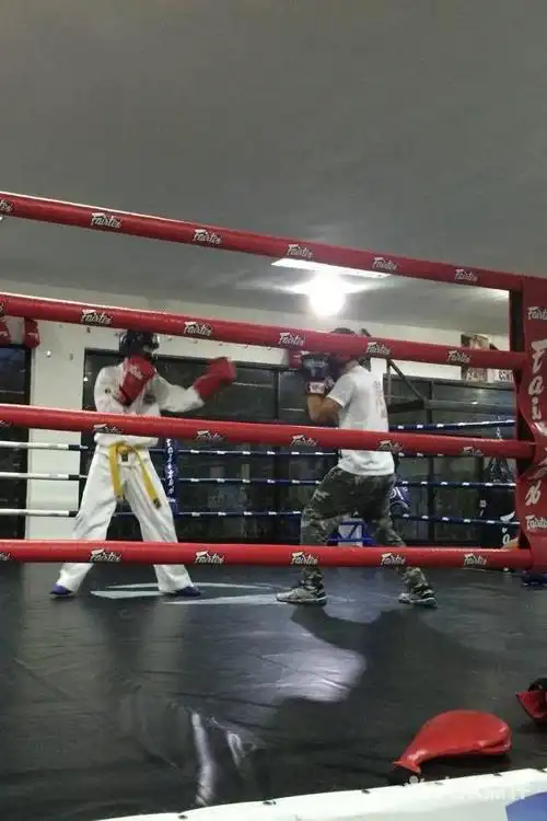 上海东星联合会itf跆拳道 kickboxing自由搏击图片 - 第9张