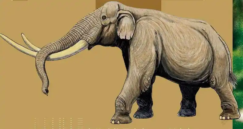 剑齿象的复原图这片森林中最大的动物是大象——剑齿象,古棱齿象和