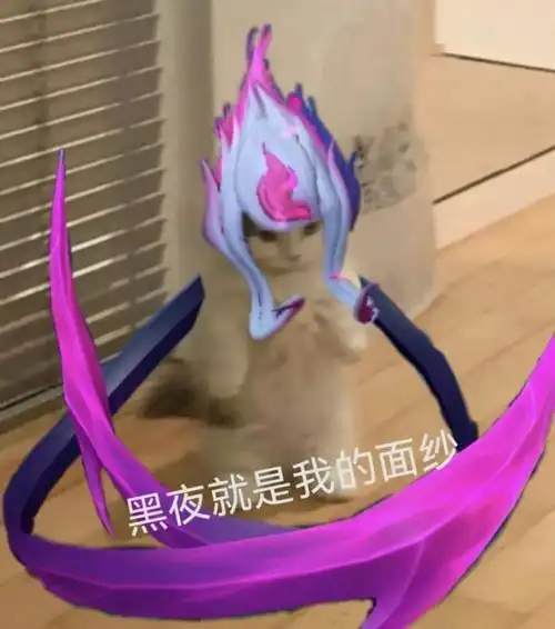 英雄联盟猫猫表情包(第六期)