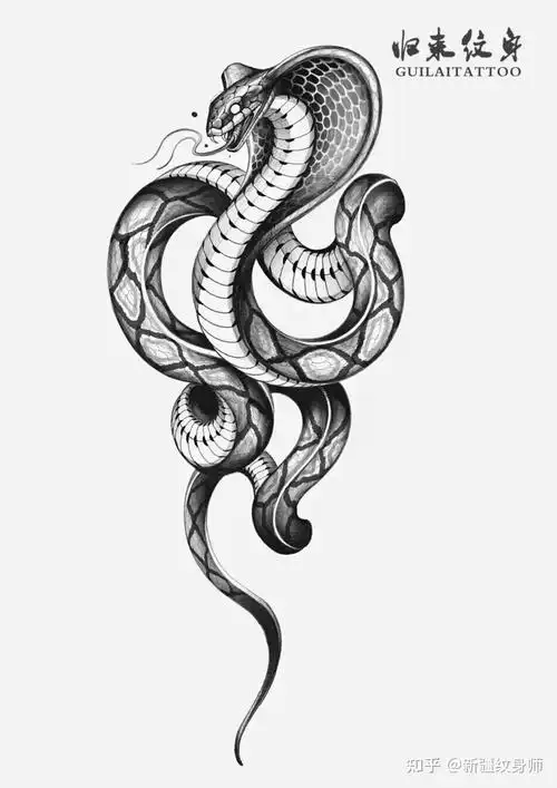 蛇纹身手稿分享