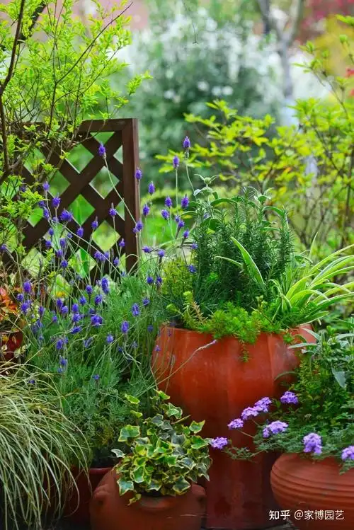 家博园艺|园林中的神来之笔—花境设计!