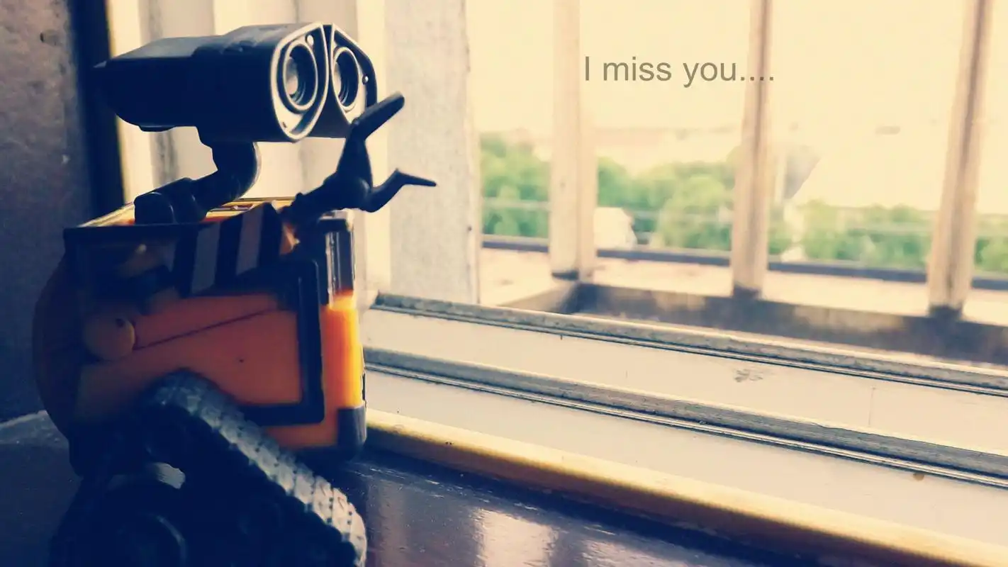 浪漫,玩具,imissyou,我想你,对你太想念壁纸