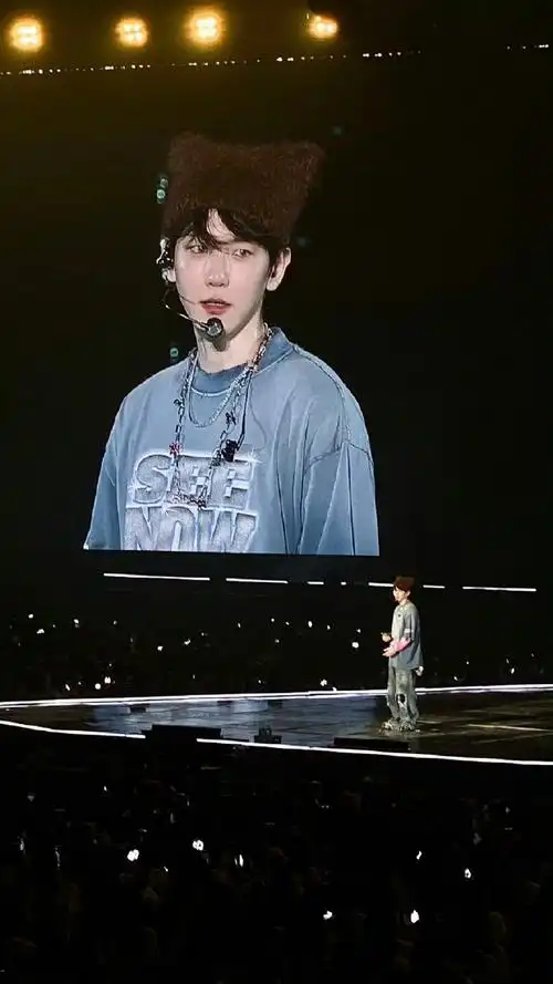 边伯贤亚洲巡演