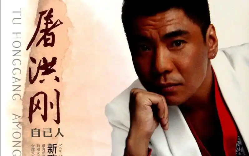 【屠洪刚】自己人新歌加精选_哔哩哔哩_bilibili