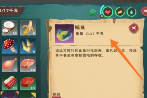 创造与魔法天空鳐位置在哪?