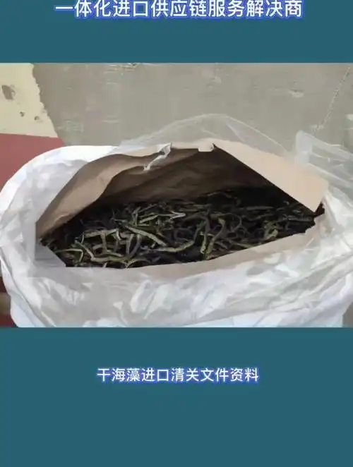 干海藻进口清关文件资料