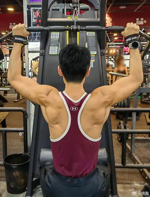 魏晨晒健身照这背部肌肉也太绝了吧