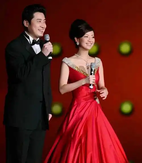 他是曾经的"电视一哥",莫名消失17年,如今竟然已成高官_张政_国脸