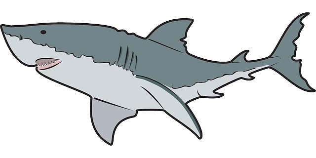 great white shark cartoon pictures