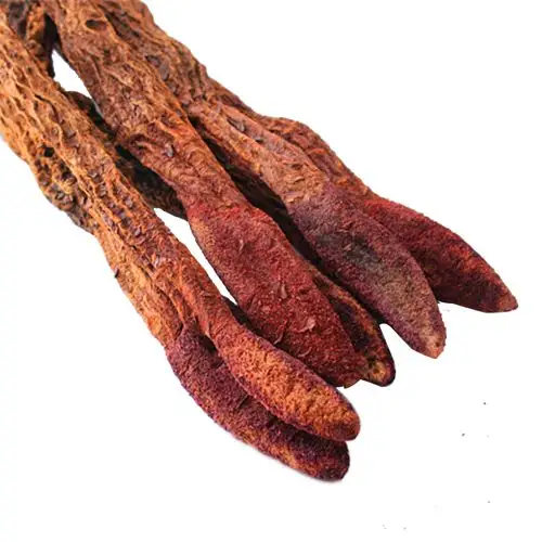 阿拉善锁阳 内蒙古男性野生中药可打粉切片泡酒金锁阳500克正品