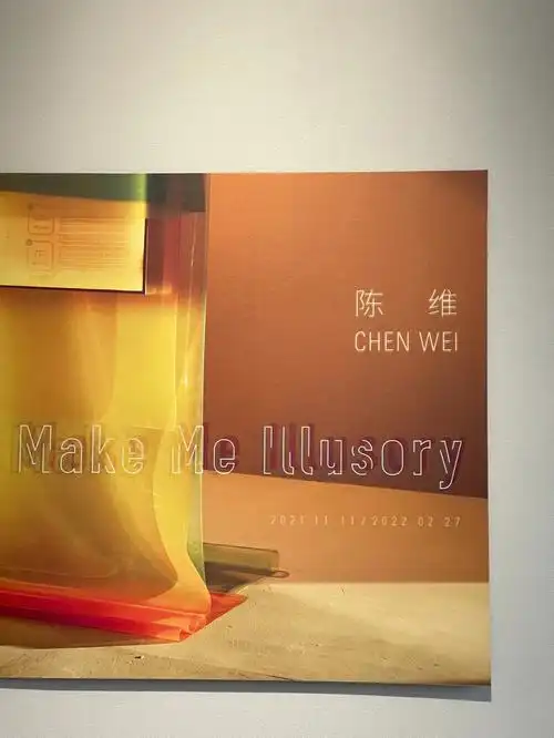 西岸美术馆陈维makemeillusory