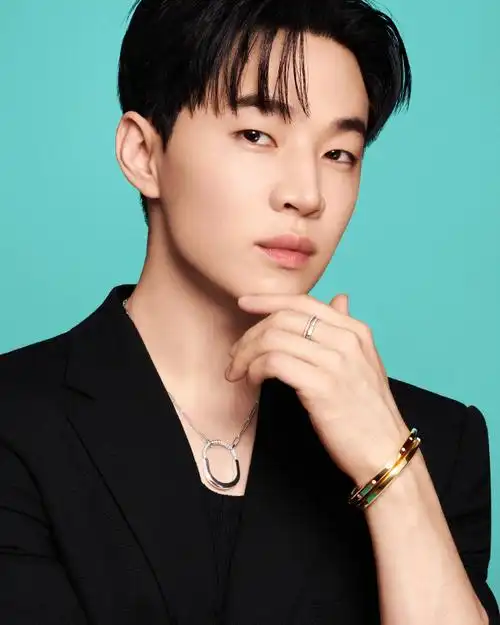 蒂芙尼品牌大使刘宪华