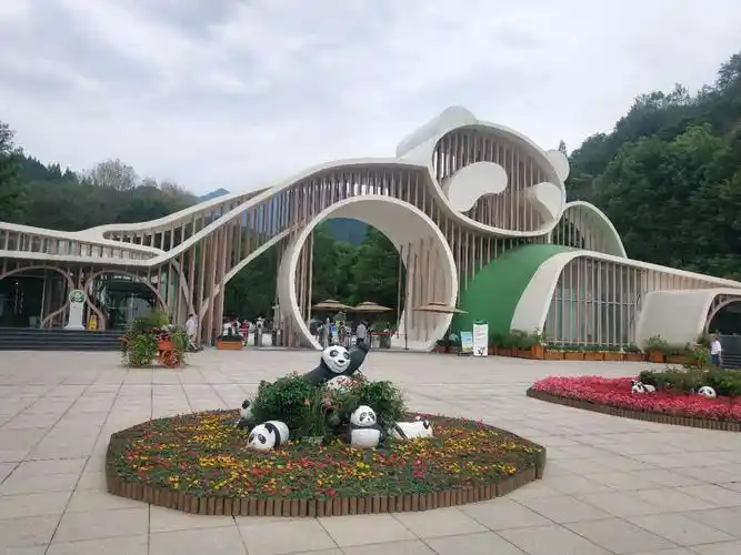 都江堰】访国宝看熊猫,熊猫谷欢迎您
