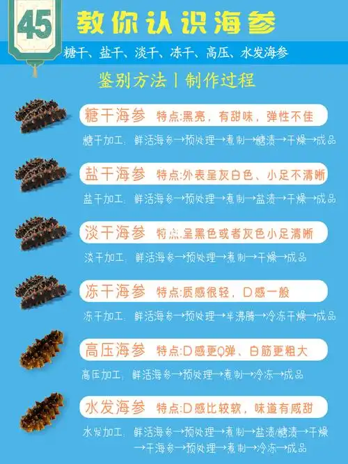 教你辨别海参种类96  了解那种海参适合自己_海参_口感_美食_美食