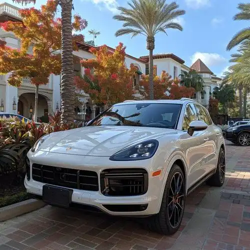 2020 porsche cayenne_保时捷cayenne社区_易车社区