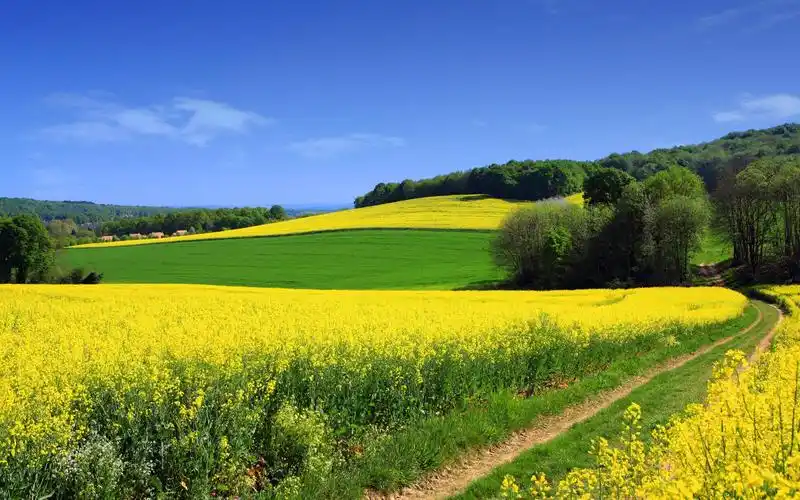 引言:在当今社会,通讯录权益的认可和保障已经取得了巨大进展.