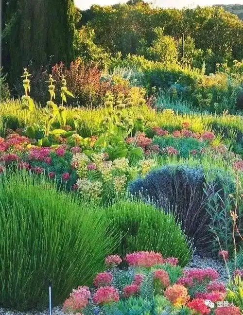 灌木花境.是指由各种灌木组成的花境,具有稳定性强,管理简便等特点.