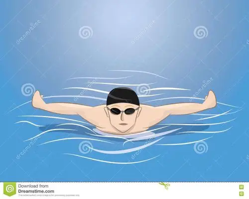 臂展,手足遗传优势的一年级储备游泳队员,并注册运动员资格