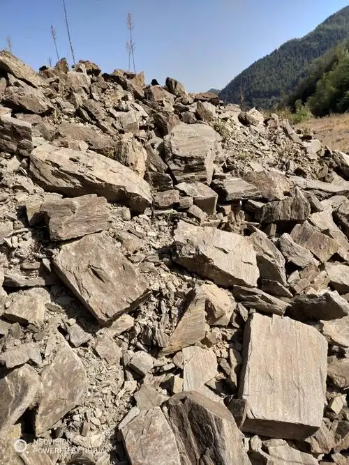 这种云母石矿有开采价值吗?