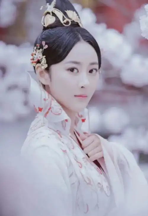 李丽质为啥嫁给长孙冲 长乐公主李丽质23岁英年早逝(12)