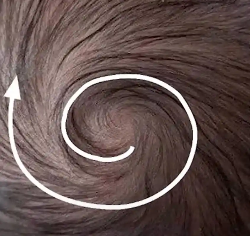 宝宝的头旋,其实是一串神奇密码