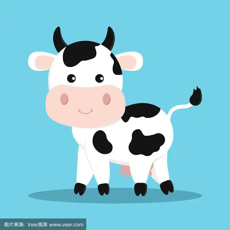 可爱可爱的白色奶牛,带着黑色的斑点