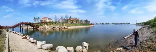 美丽的东营湿地是黄河渤海亲吻的结晶