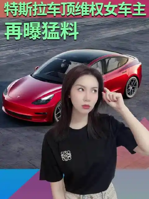 特斯拉上海车展维权女车主,再曝猛料!