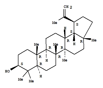 分子结构式