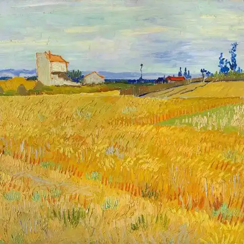 麦田里的守望者梵高