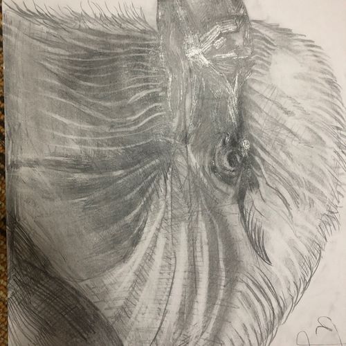 创意素描,随机抽取,买五送一