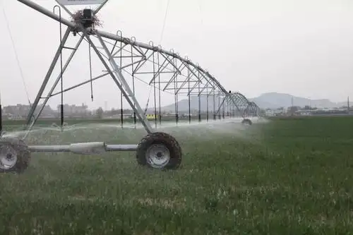 车为萝卜苗撒肥,长约200米,有90个喷头的大型指针式喷灌机正在工作