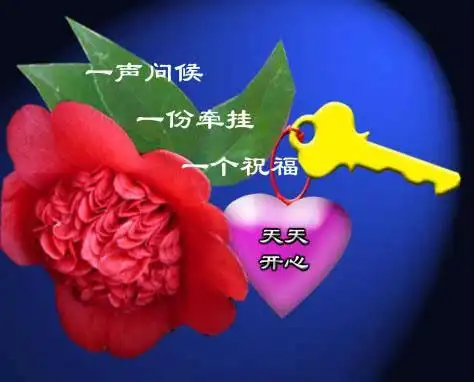 朋友们朋友们晚上好 美好的问候 给群里的朋友发祝福的动态图片 真的