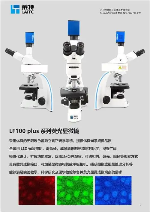 荧光显微镜免疫荧光显微镜真菌荧光显微镜妇科荧光显微镜