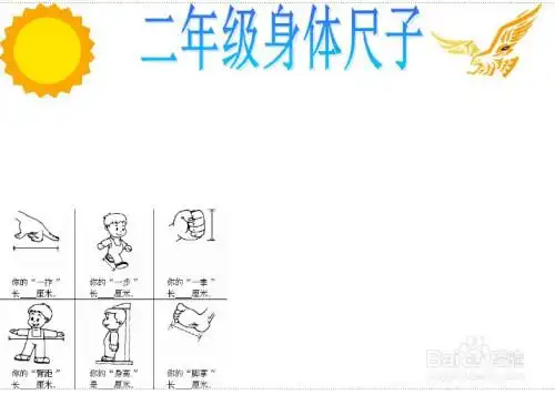 在左侧下方位置画上身体尺子的相关内容,丰富画面