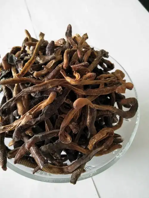 原条地龙黑地龙大蚯蚓干臭蚯蚓皮诱饵钓饵料打粉500g包邮