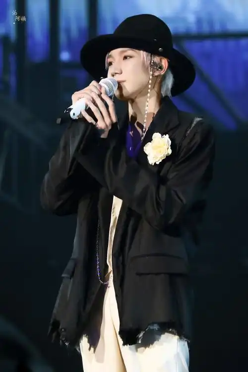 王源客厅狂欢巡演##王源客厅狂欢巡回演唱会广州站