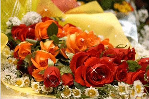 525_350gif 动态图 动图