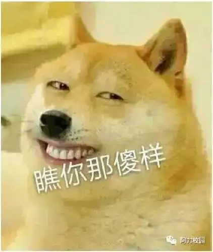 养鲲来不来_养鲲_不来表情