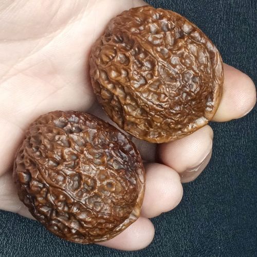 文玩云南南铁核桃自然落地七彩元宝阴皮手把小众木作