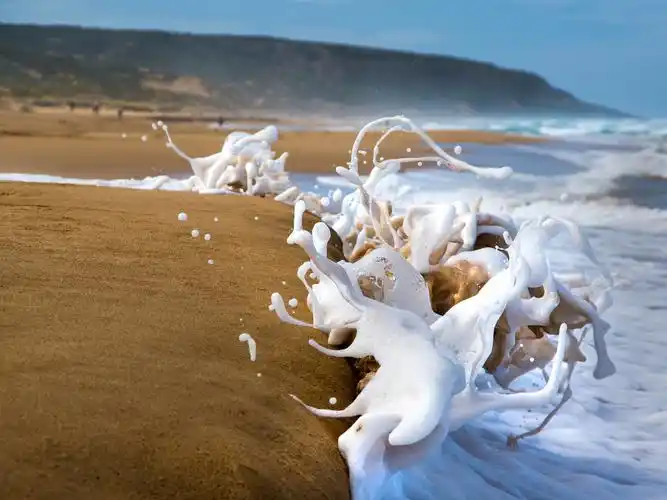 海,波浪,泡沫,瞬间