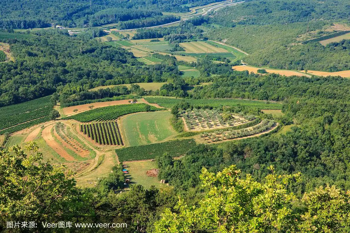 耕地的俯视图
