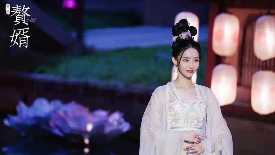 赘婿胡丹丹壁纸