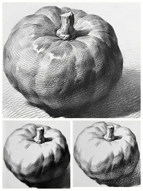 南瓜素描步骤