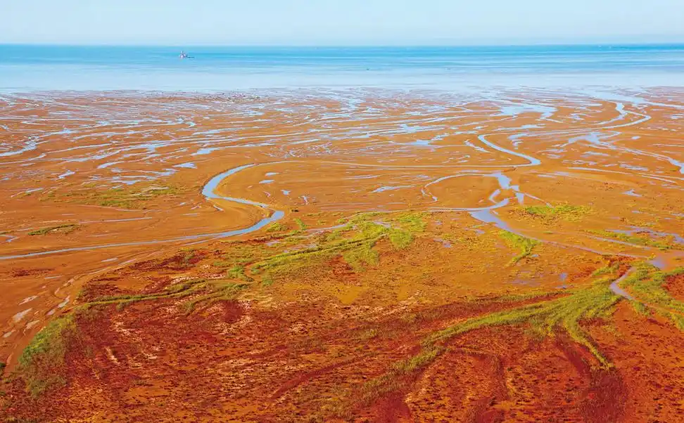 黄河入海口黄蓝交汇奇观