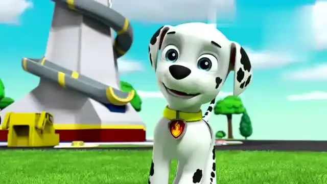 汪汪队立大功:小砾睡觉太可爱,大家都不想把他叫醒