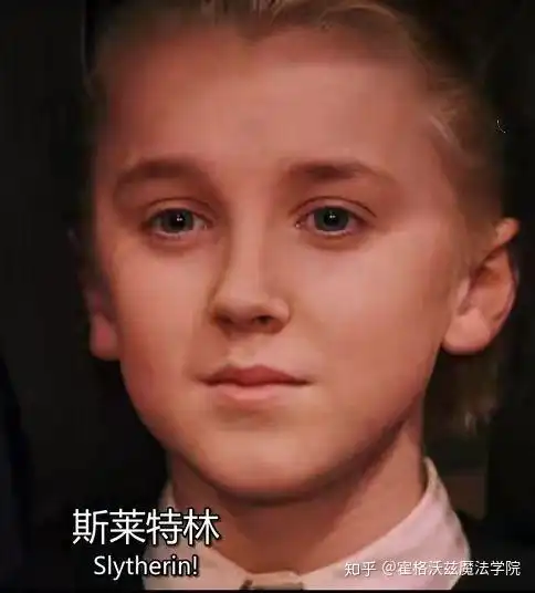 赫奇帕奇招生人数:     38人