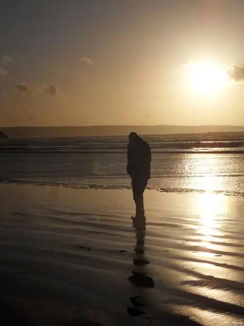在睡不着的夜晚,我在想,究竟是自己哪一步走错了,让自己活成今天这幅